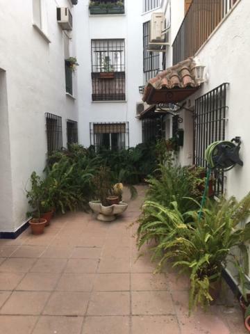 El Rincon De La Juderia Apartment Cordoba Ngoại thất bức ảnh